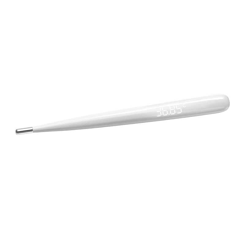 Digital Thermometer